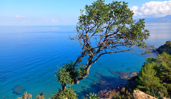 Cyprus