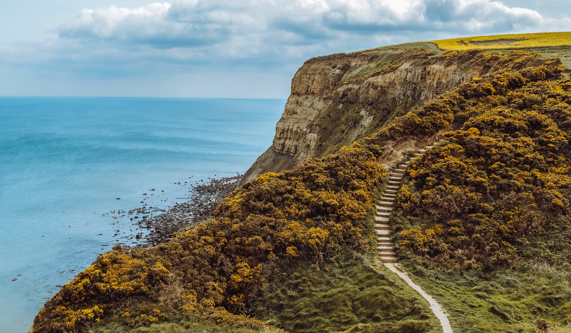 North York Moors