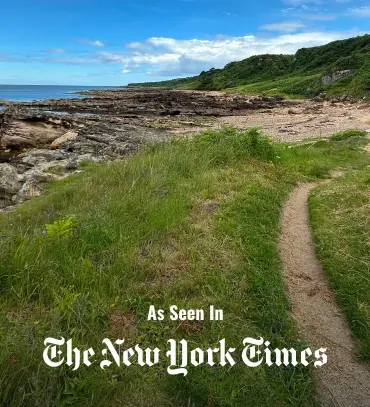 Scenic view of the Fife Coastal Path with rolling green hills and a view of the North Sea under a blue sky.