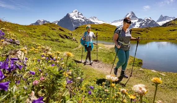 Two hikers navigate a mountain trail adorned with colourful wildflowers under a clear blue sky.